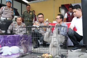 Polresta Sidoarjo Ungkap Perdagangan Satwa Dilindungi