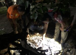 Ledakan Hebat Hancurkan Rumah di Pucangro, 5 Remaja Terkapar Akibat Bahan Peledak