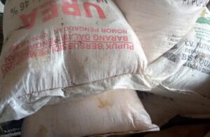Minta Tindakan Nyata, Bapera: Kios Pupuk yang Langgar Aturan di Cibitung Kec.Munjul Harus Diberi Sanksi
